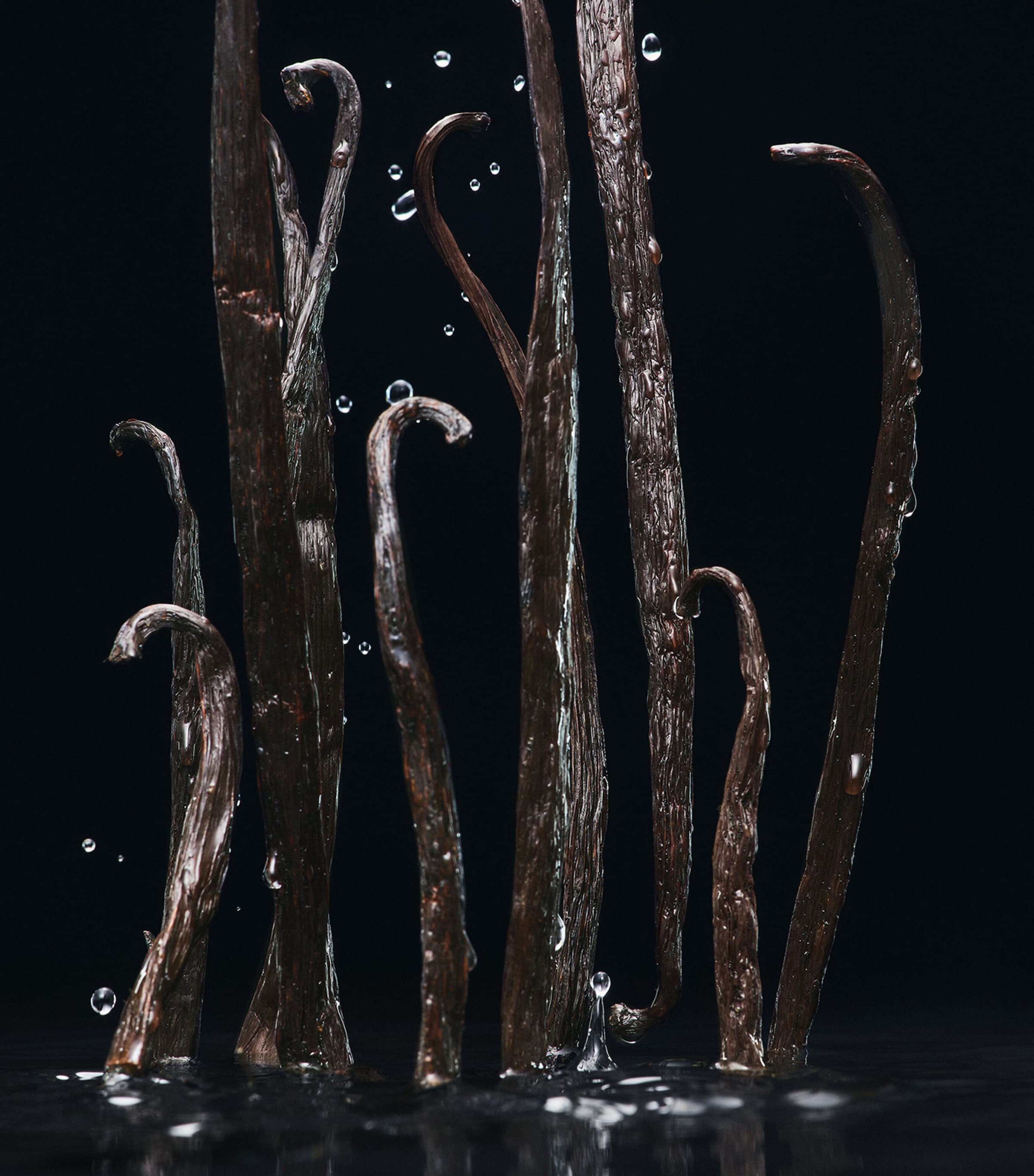 Velvet Amber Sun Eau de Parfum (100ml) NO COLOUR Image 4