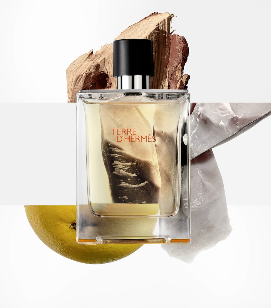 Terre d'Hermès Eau de Toilette Fragrance Gift Set (50ml) NO COLOUR Image 3