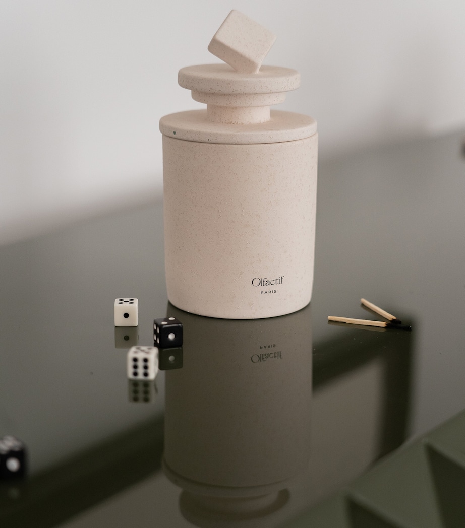 Capricorn Log Fire Candle (240g) WHITE Image 4