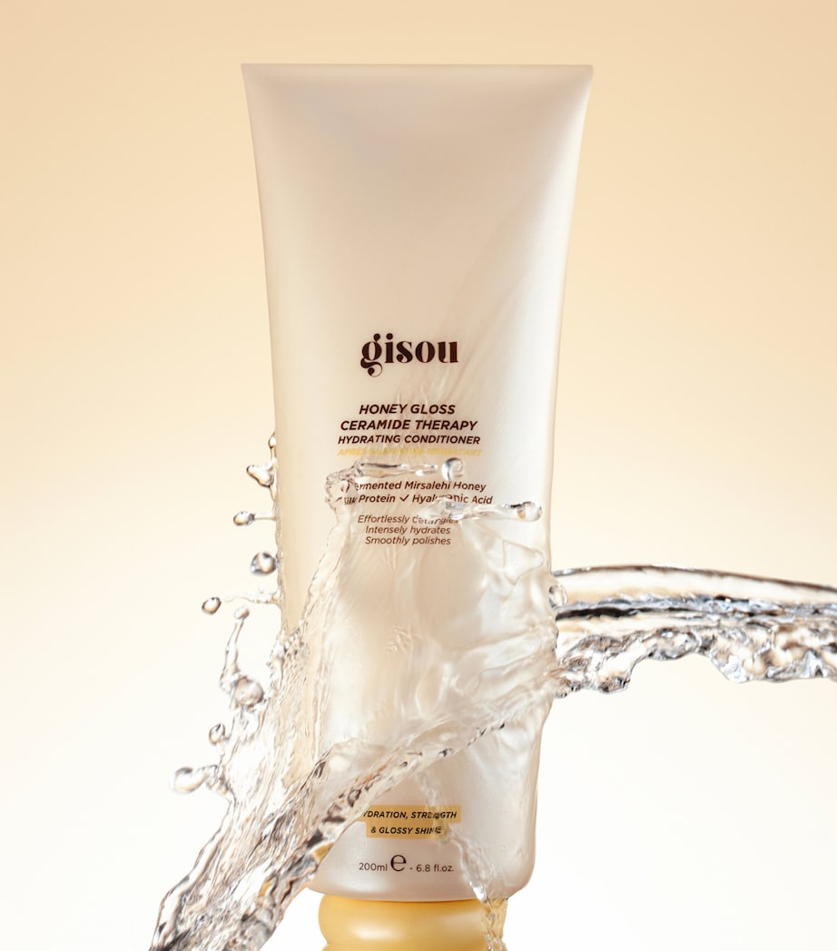 Honey Gloss Ceramide Therapy Hydrating Conditioner (50ml) NO COLOUR Image 5