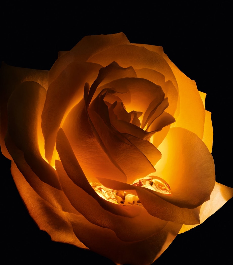 Dior Prestige Le Baume de Minuit (50ml) GOLD Image 2