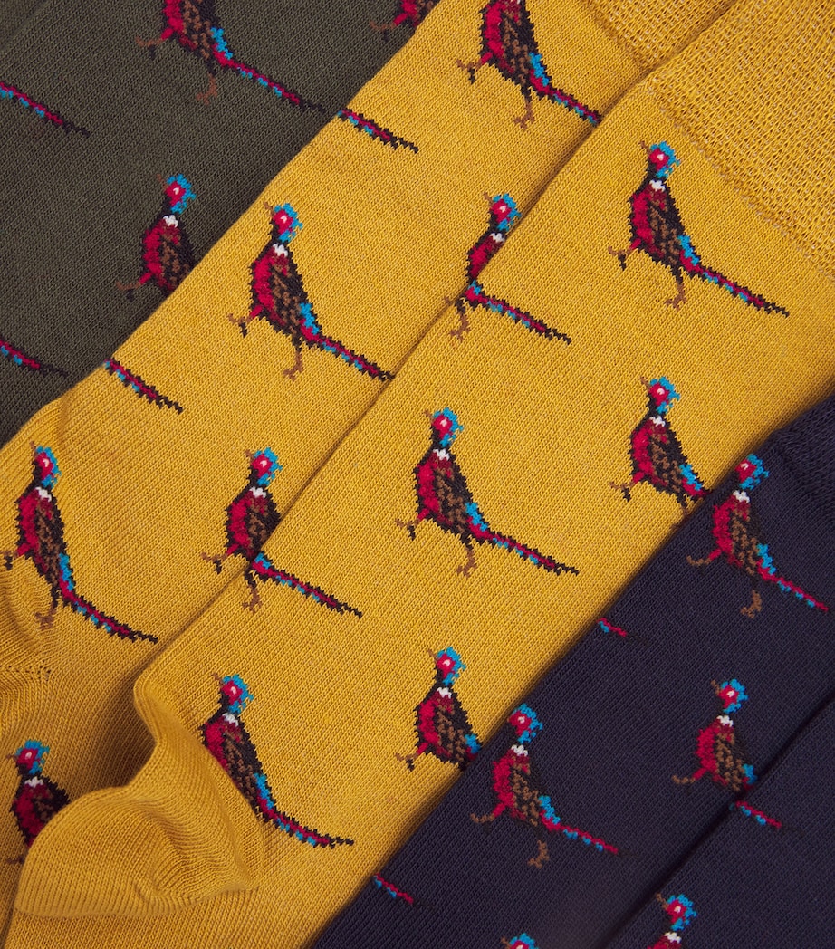 Pheasant Socks (Pack of 3) FOREST MIST Image 3