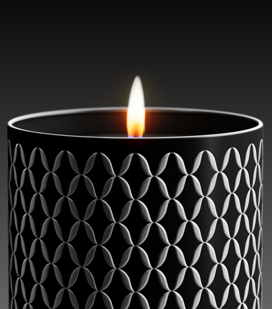 Nymphaea Nox Scented Candle with Cover (400g) NO COLOUR Image 3