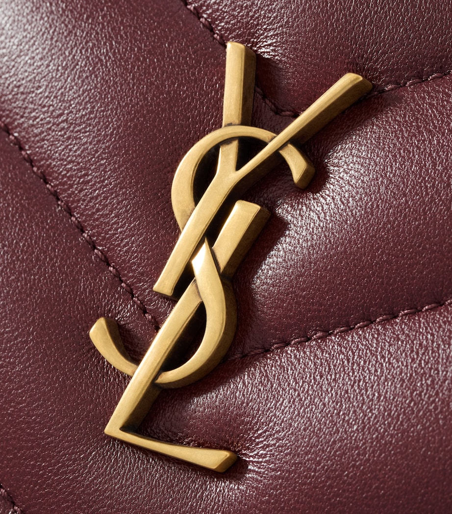 Saint Laurent Loulou Camera Bag Image 5