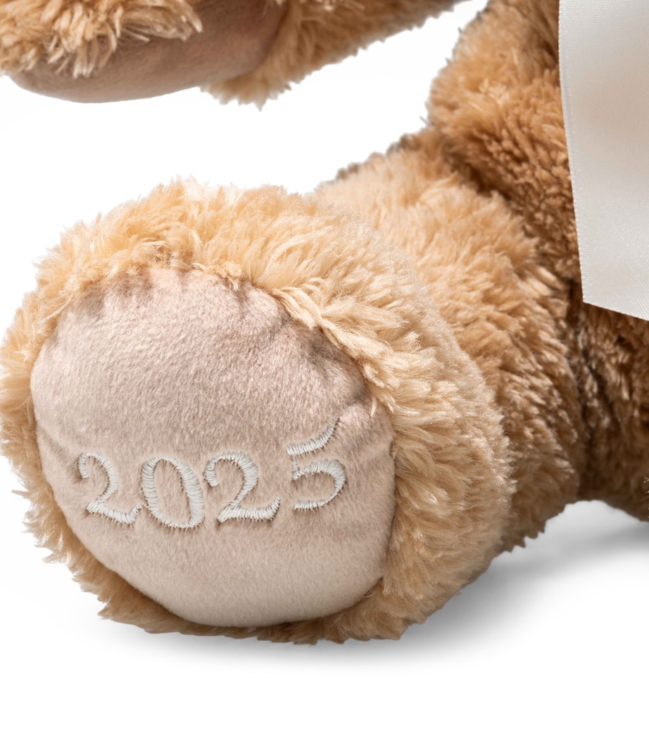 Cosy Year Bear 2025 (34cm) MULTI Image 4