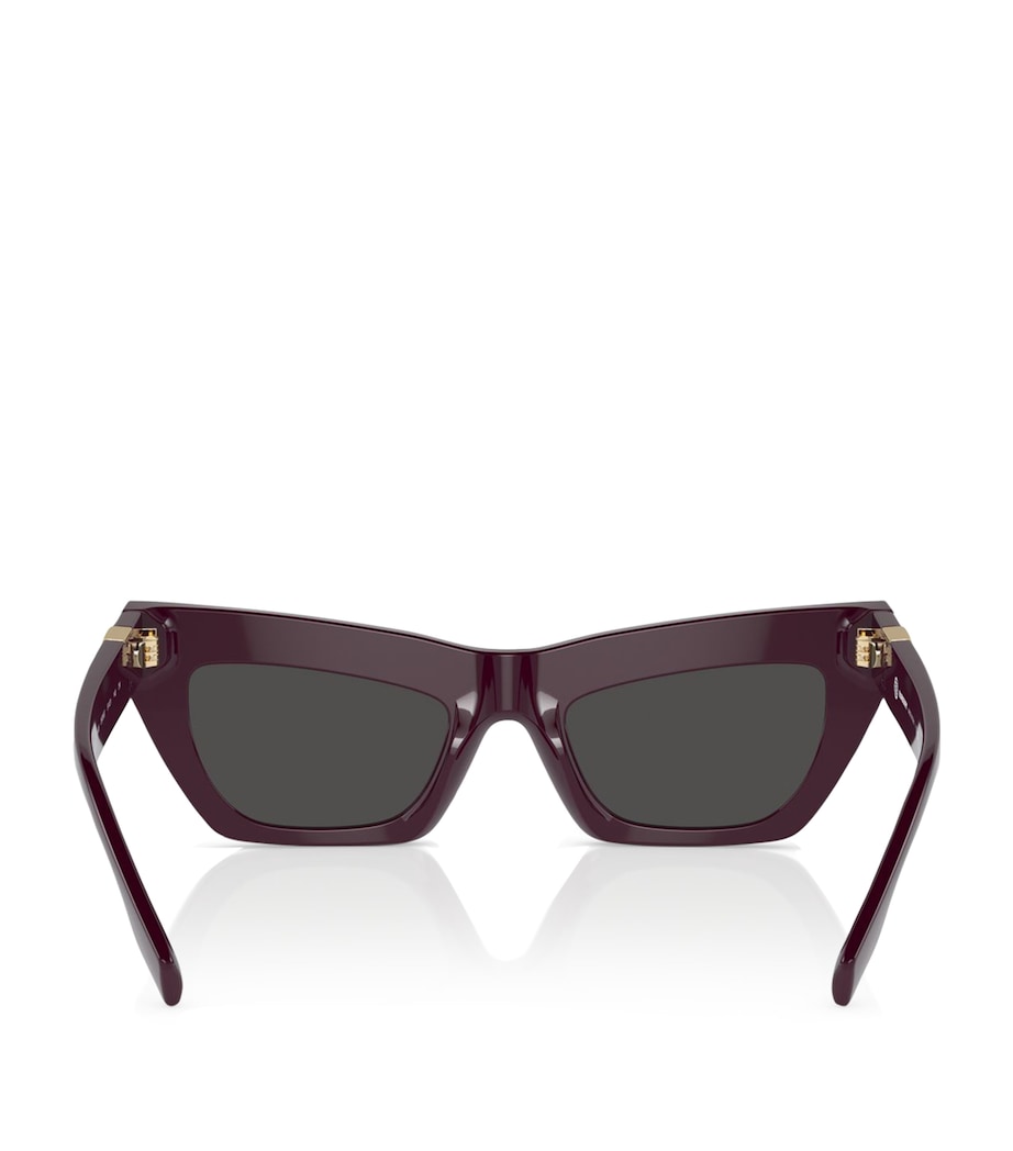 Acetate Cat-Eye Sunglasses 397987 Image 4