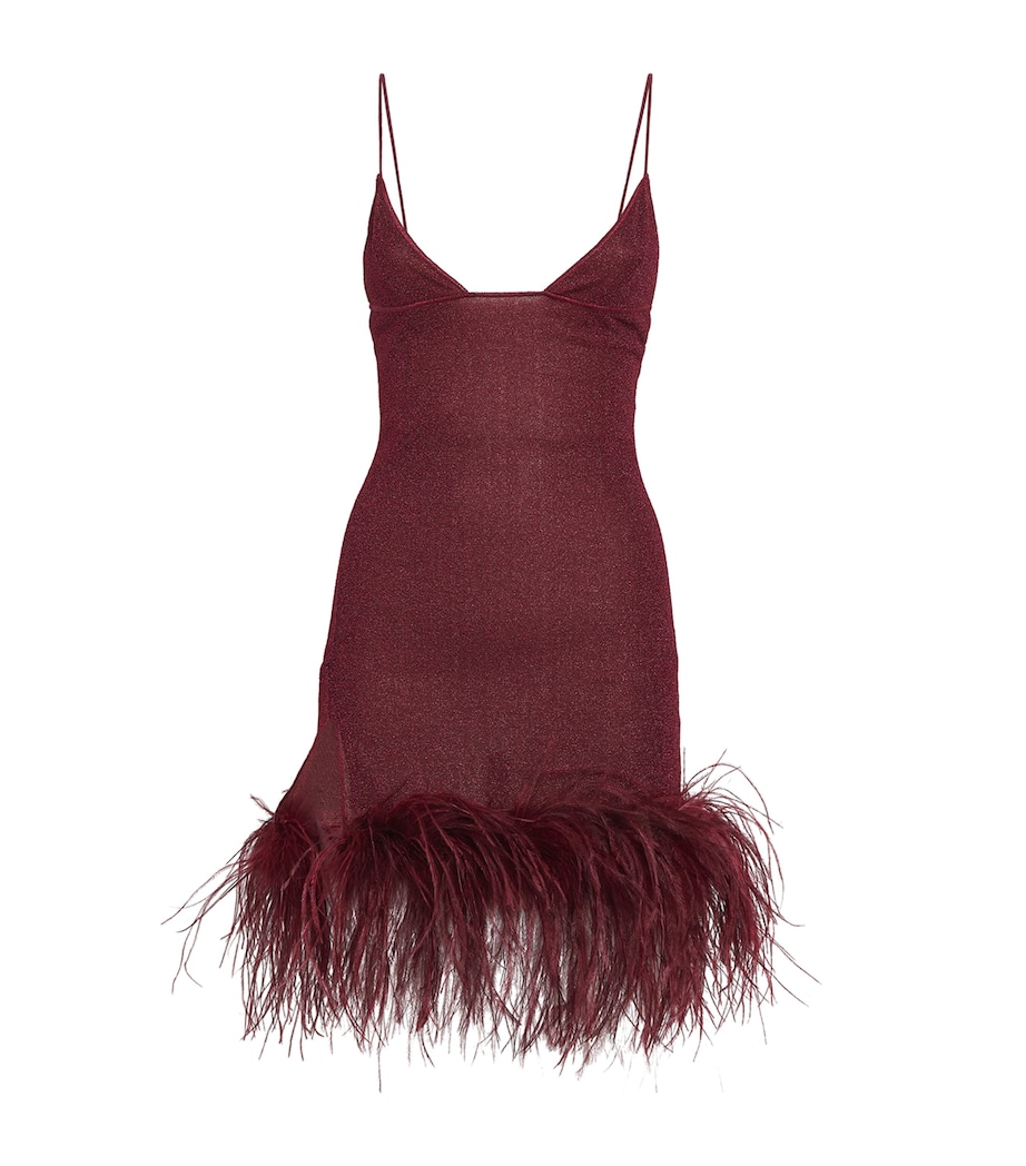 Lumière Feather Mini Dress BURGUNDY Image 1