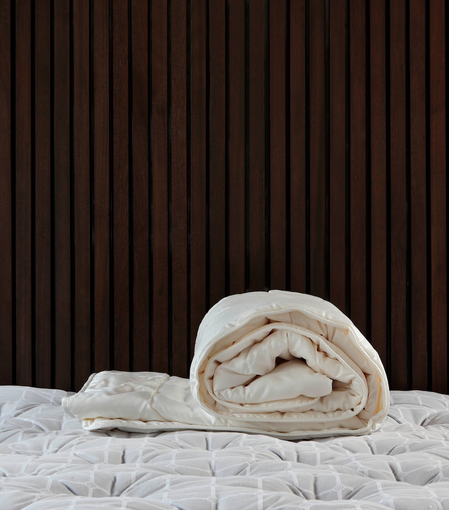 Super King Silk Duvet (4.5 Tog) CHAMPAGNE Image 3