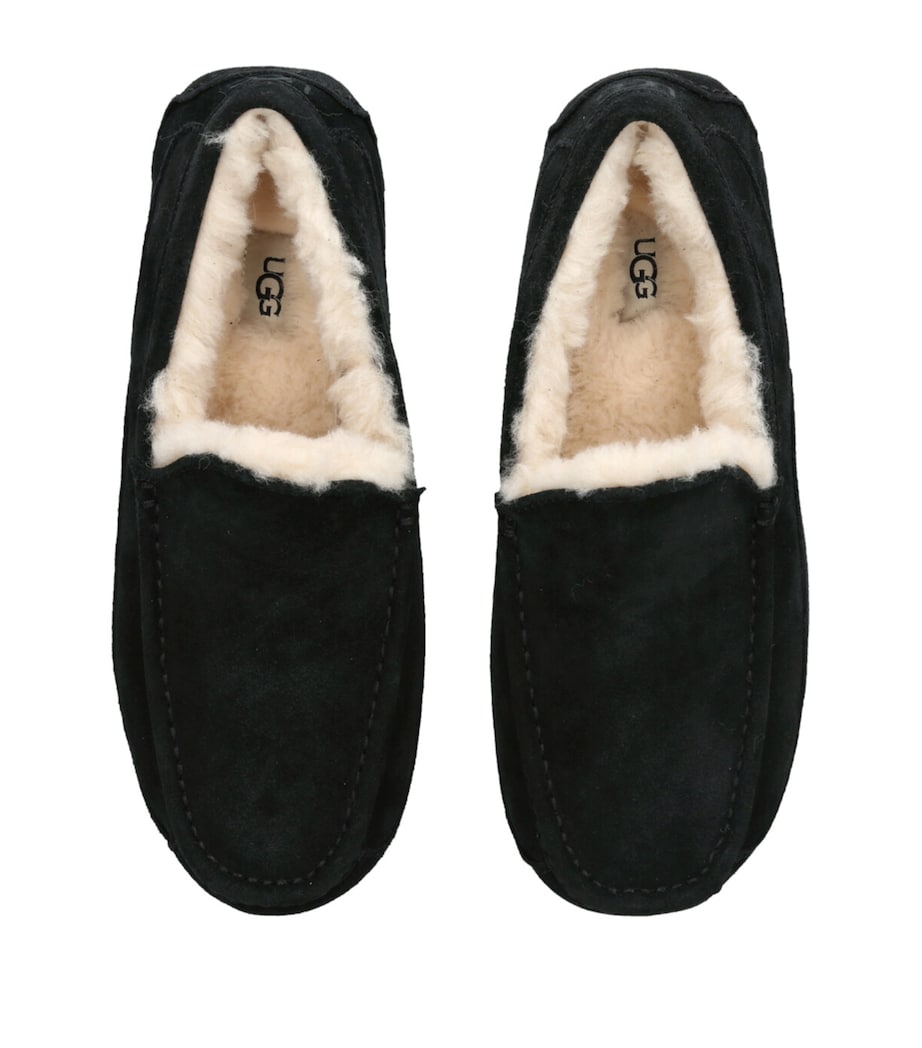 Suede Ascot Slippers BLACK Image 4