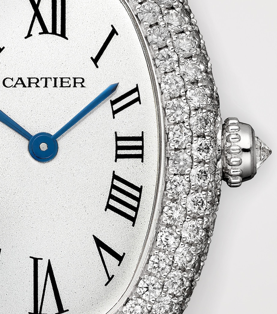 Cartier White Gold and Diamond Baignoire 1920 Watch 26mm Silvered Image 8