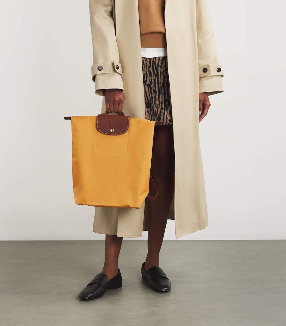 Medium Le Pliage Original Backpack P86 FAWN Image 5