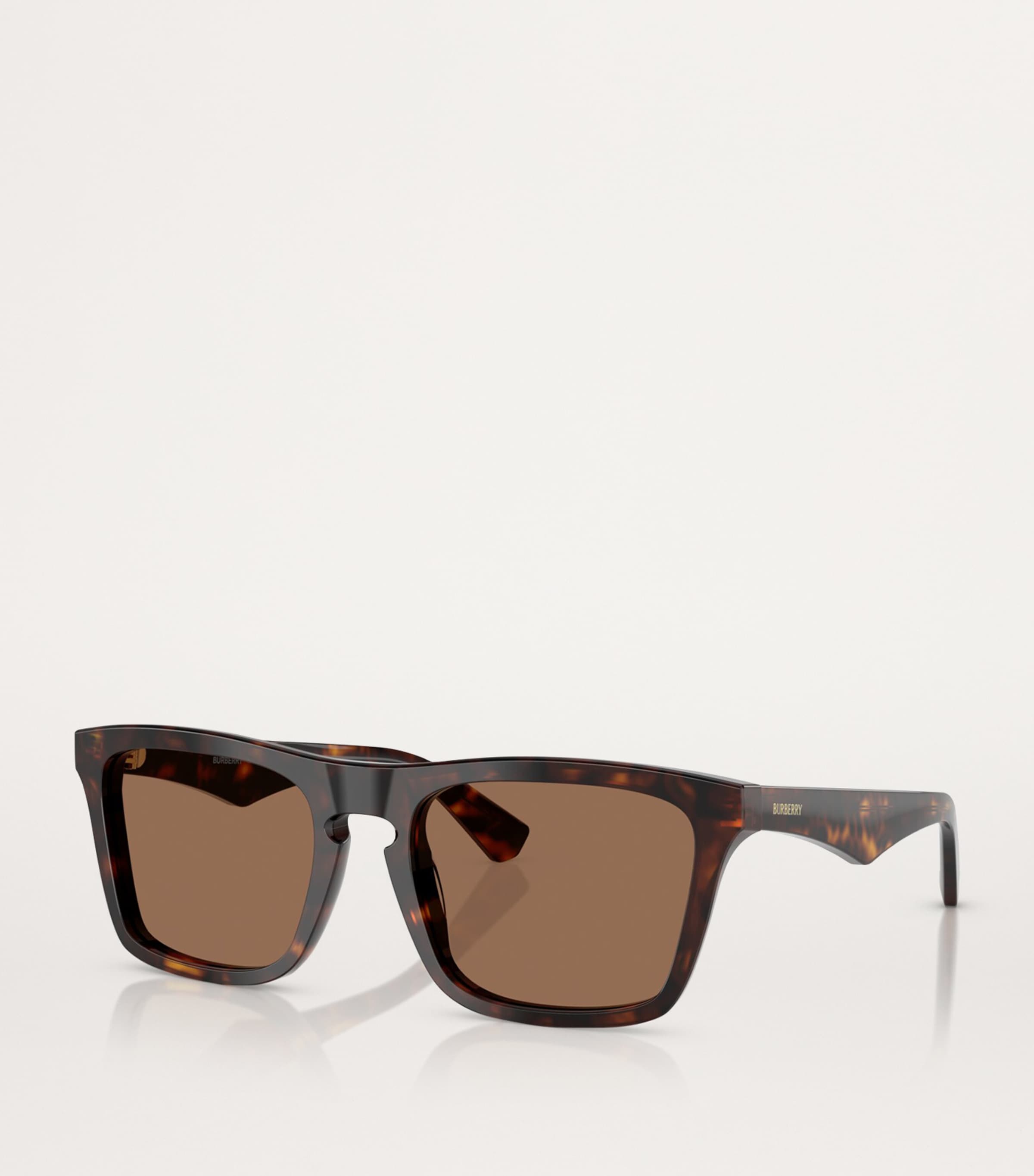 Acetate Wayfarer Sunglasses 300273 Image 2
