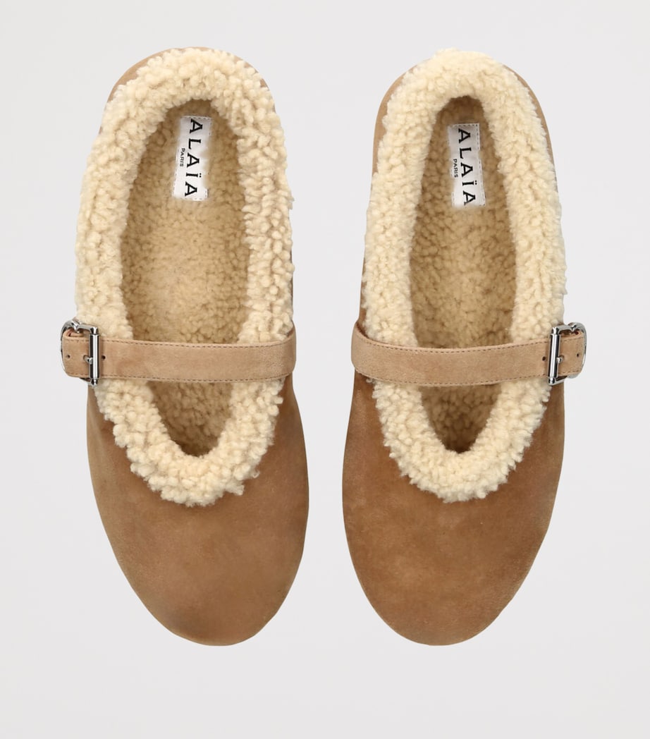 Shearling Ballet Flats CAMEL Image 4