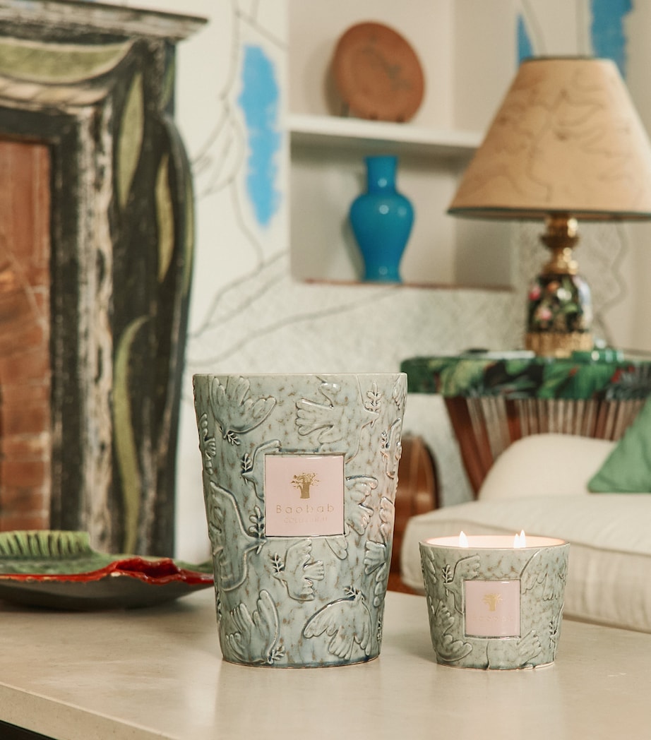Baobab Collection Colombe Scented Candle (3kg) Green Image 2