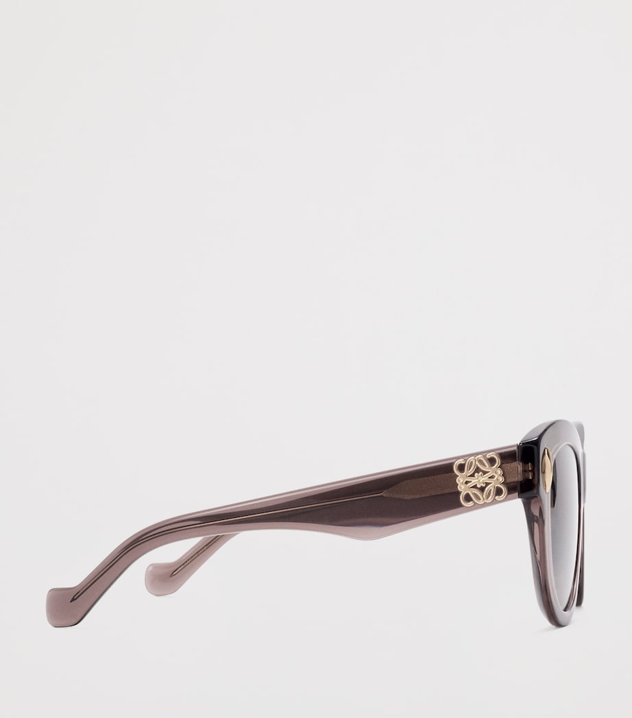 LOEWE Vintage Screen Sunglasses Transparent Brown Image 3