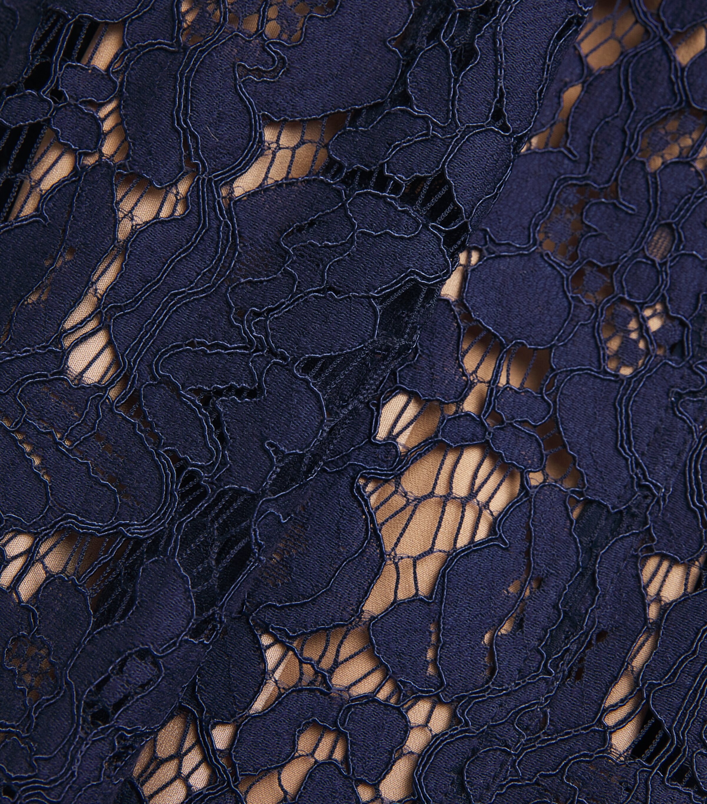 Lace Collared Midi Dress BLUE Image 4