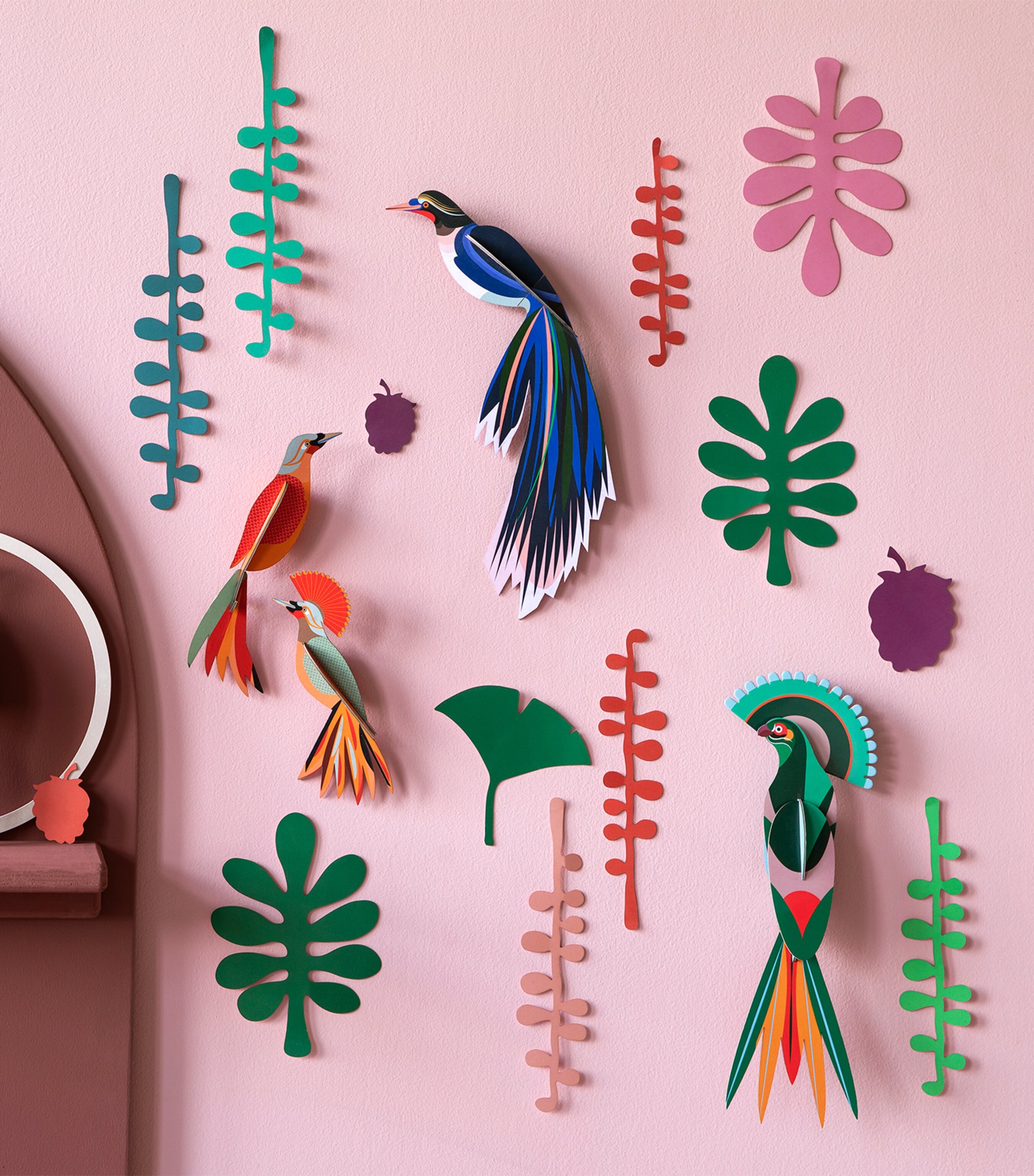 Bird Observer Kit MULTI Image 3