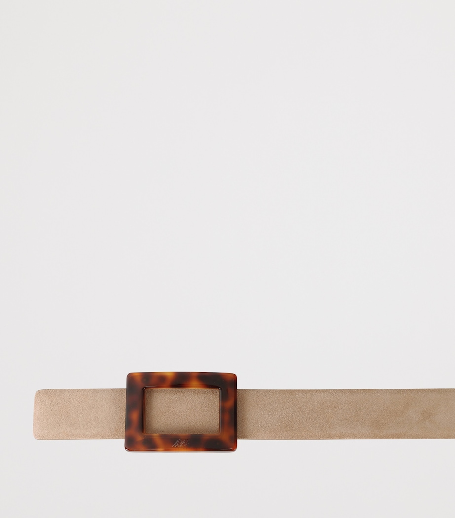 Suede Belle Vivier Belt BROWN Image 2