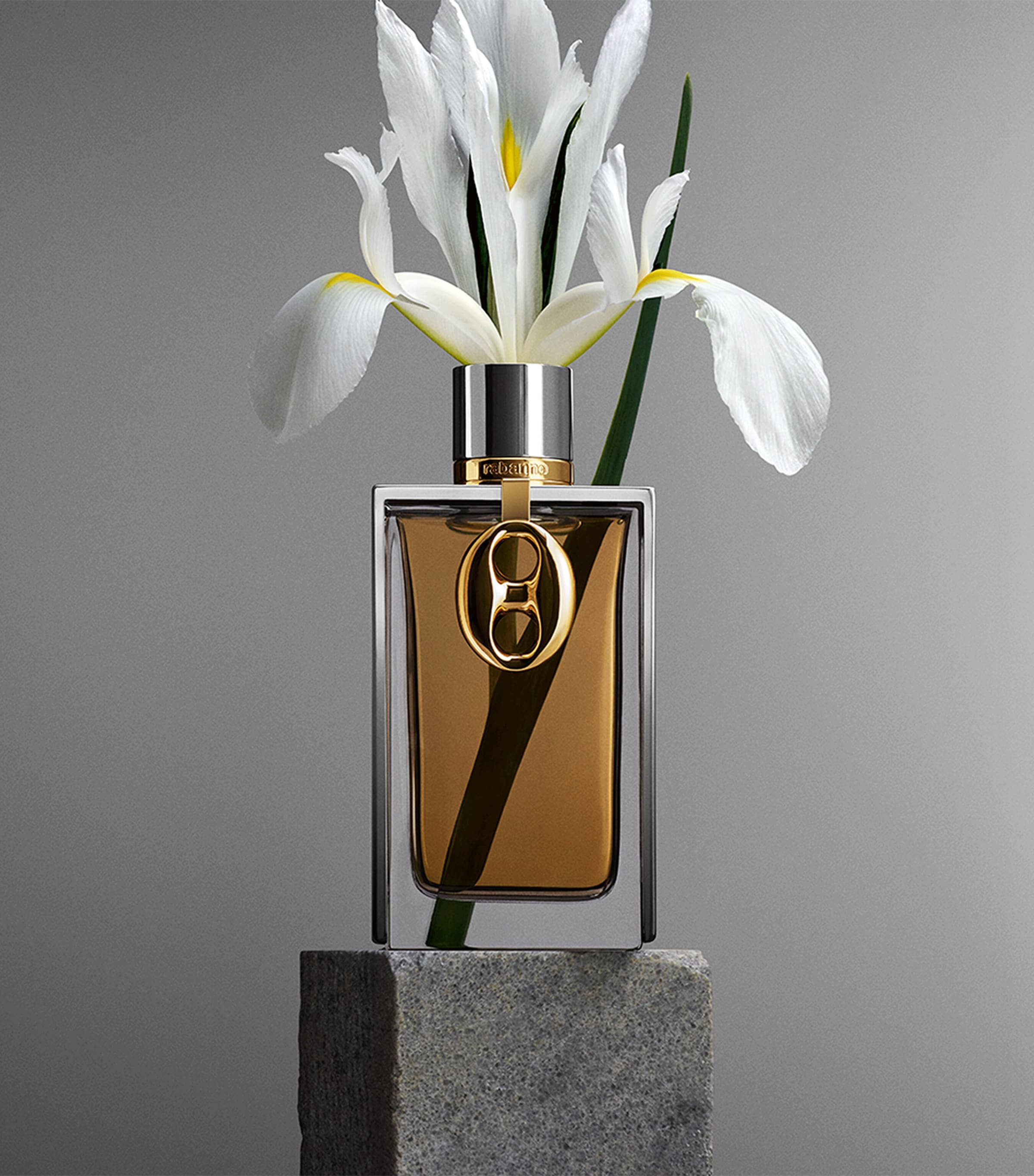 Rabanne Silver Skin Eau de Parfum (125ml) Image 2