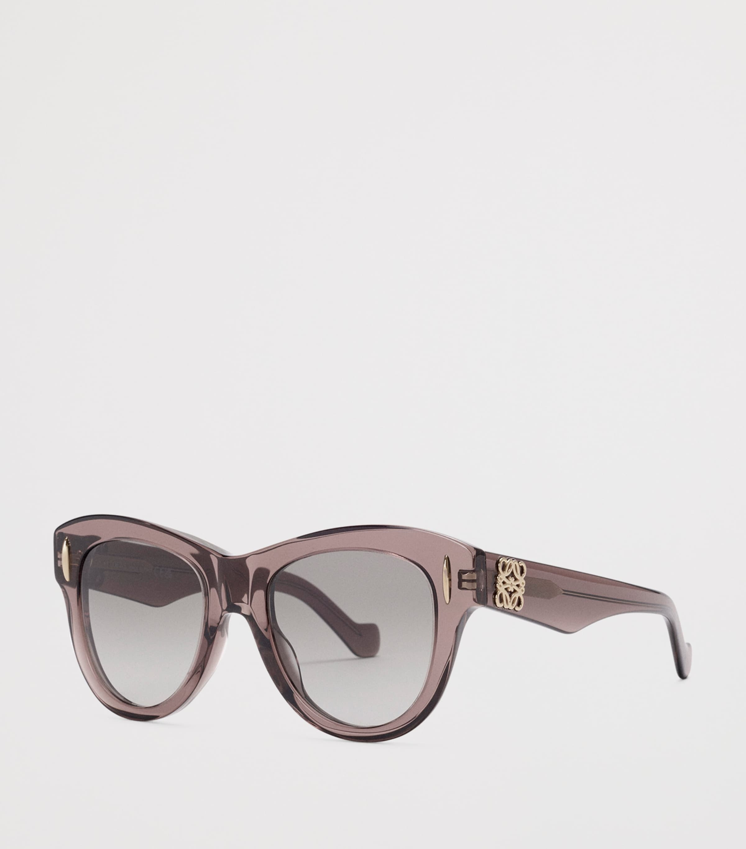 LOEWE Vintage Screen Sunglasses Transparent Brown Image 2