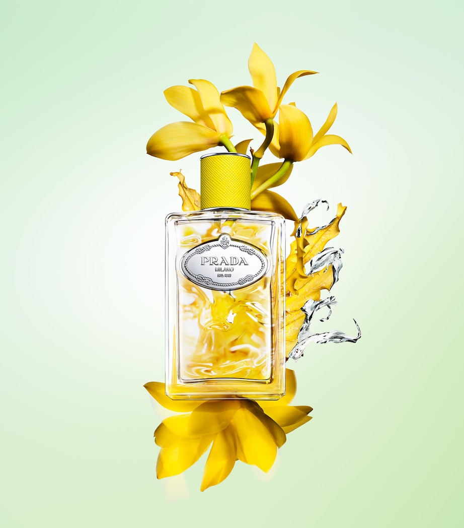 Prada Beauty Infusion d’Ylang Eau de Parfum (100ml) Image 3