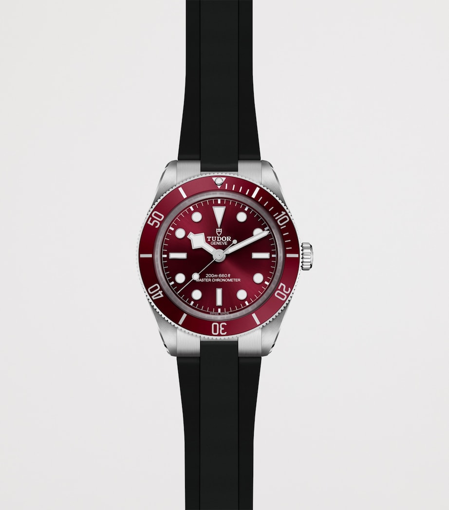 Black Bay 58 Stainless Steel Watch 39mm RED Image 2