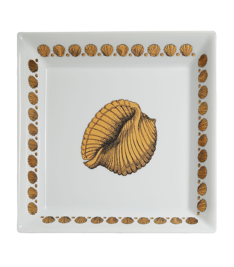 Square Giro di Conchiglie Plate (20cm x 20cm) MULTI Image 1
