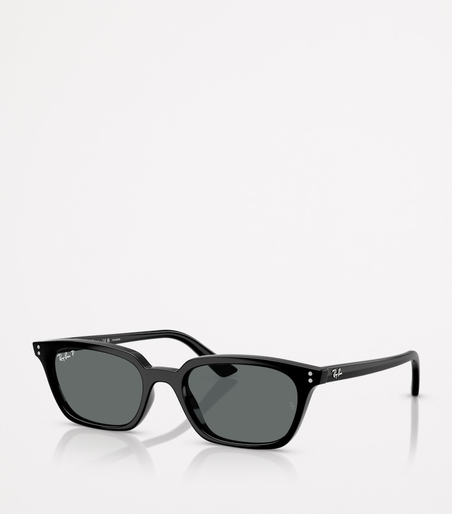 RB4456 Zaya Bio-Based Sunglasses 667781 Image 2