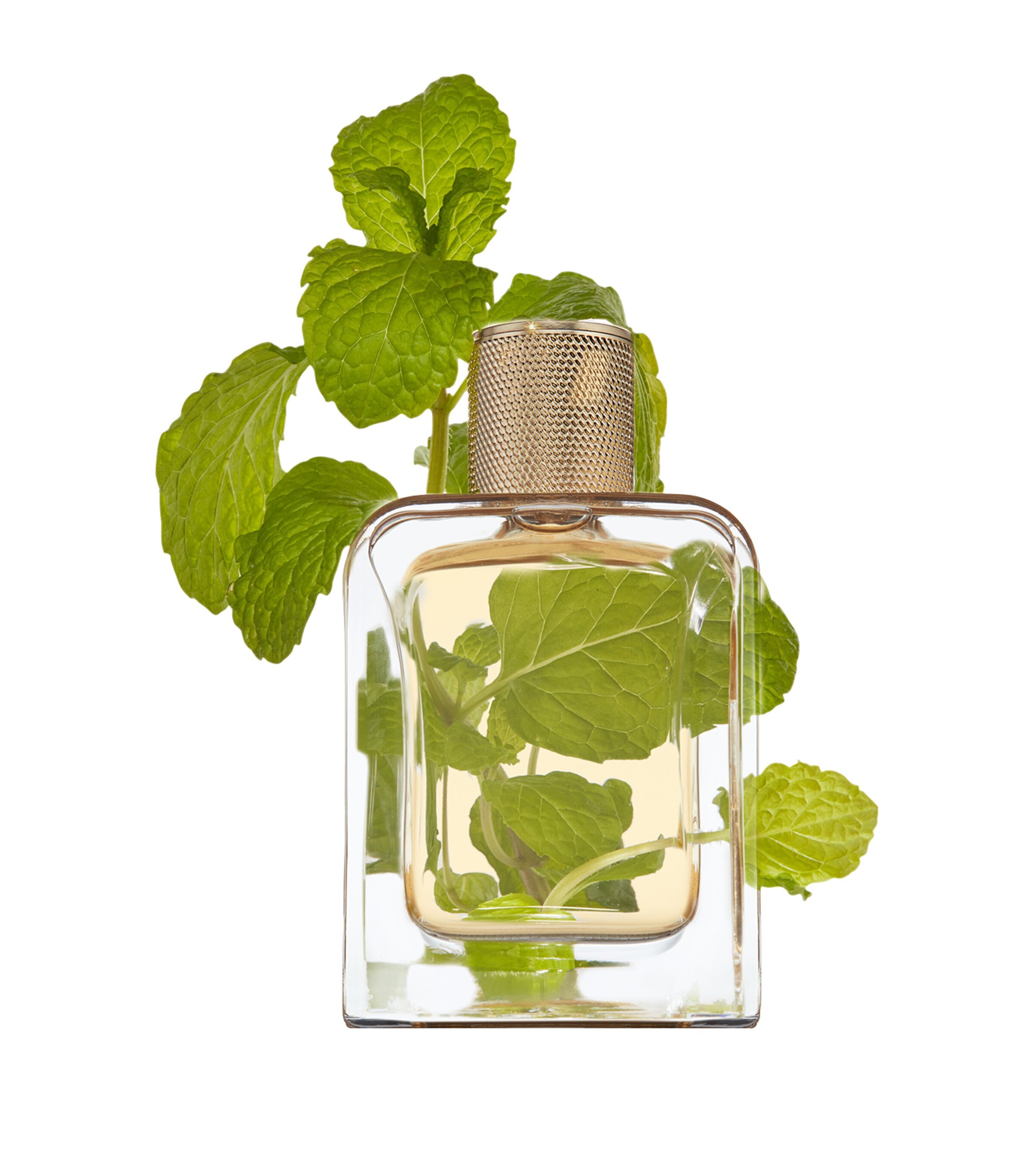 Veronique Gabai Vert Desir Eau de Parfum (85ml) Image 3