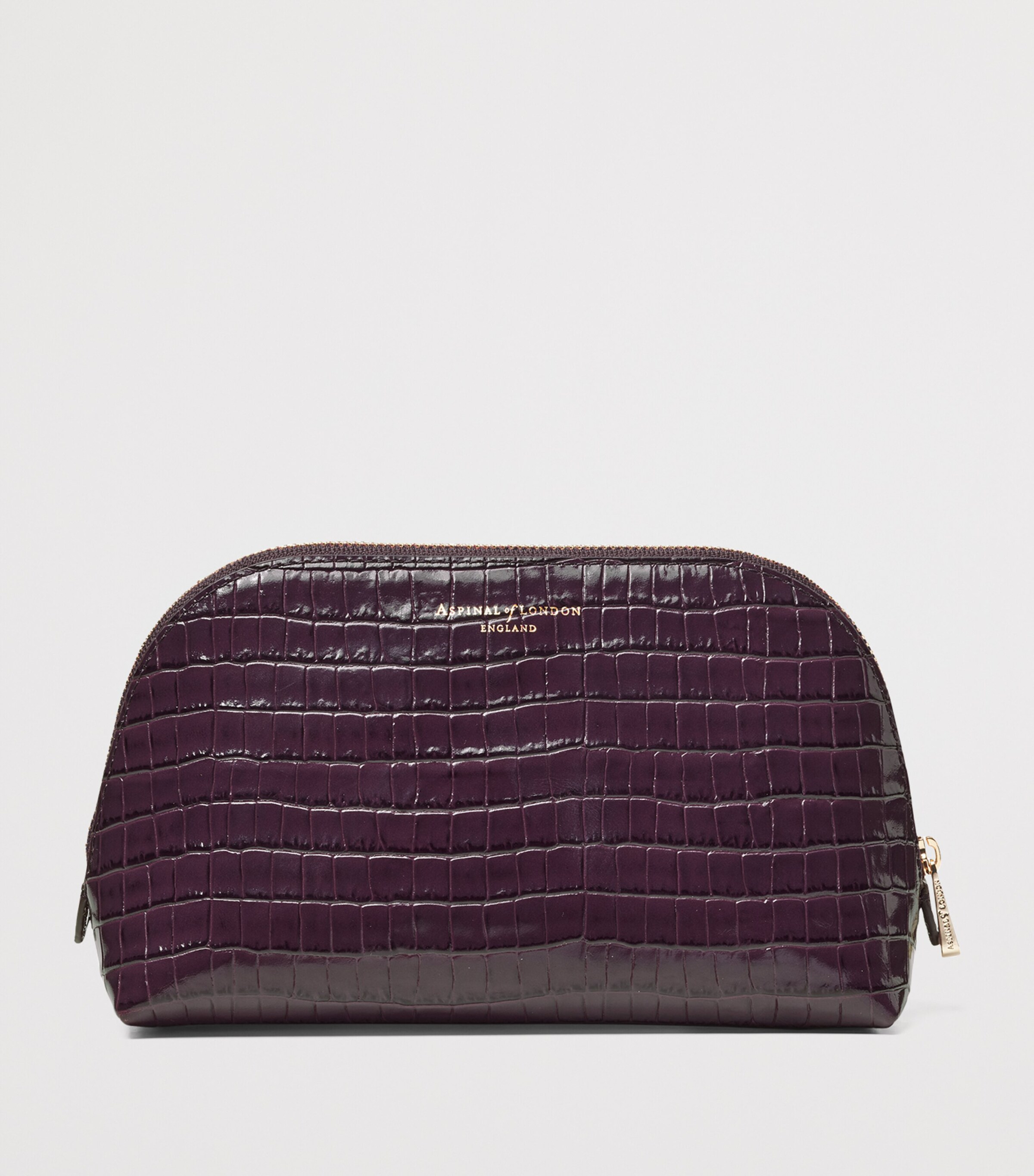 Small Leather Croc-Embossed Cosmetic Case FIG Image 2