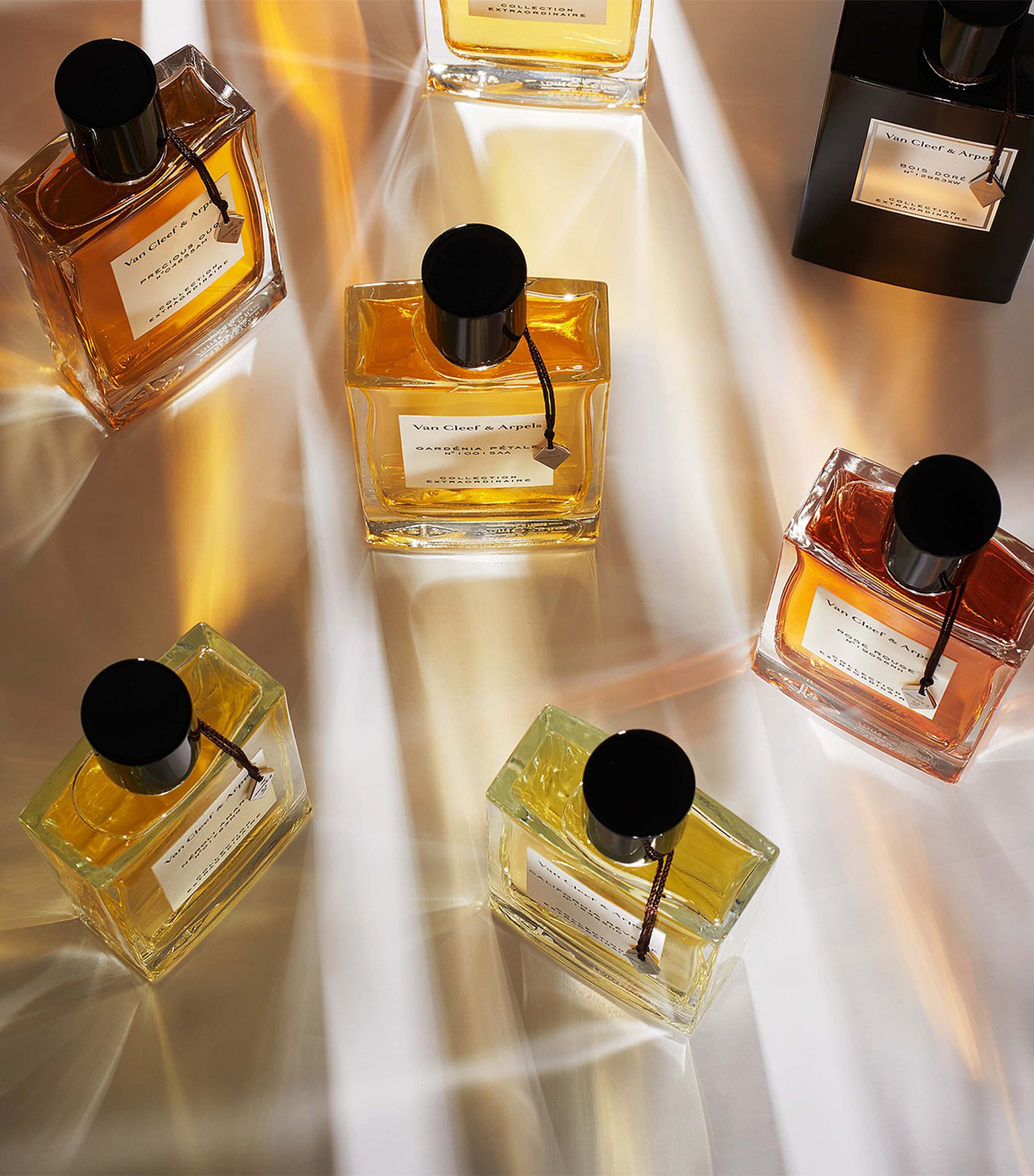 California Rêverie Eau de Parfum (75ml) NO COLOUR Image 5