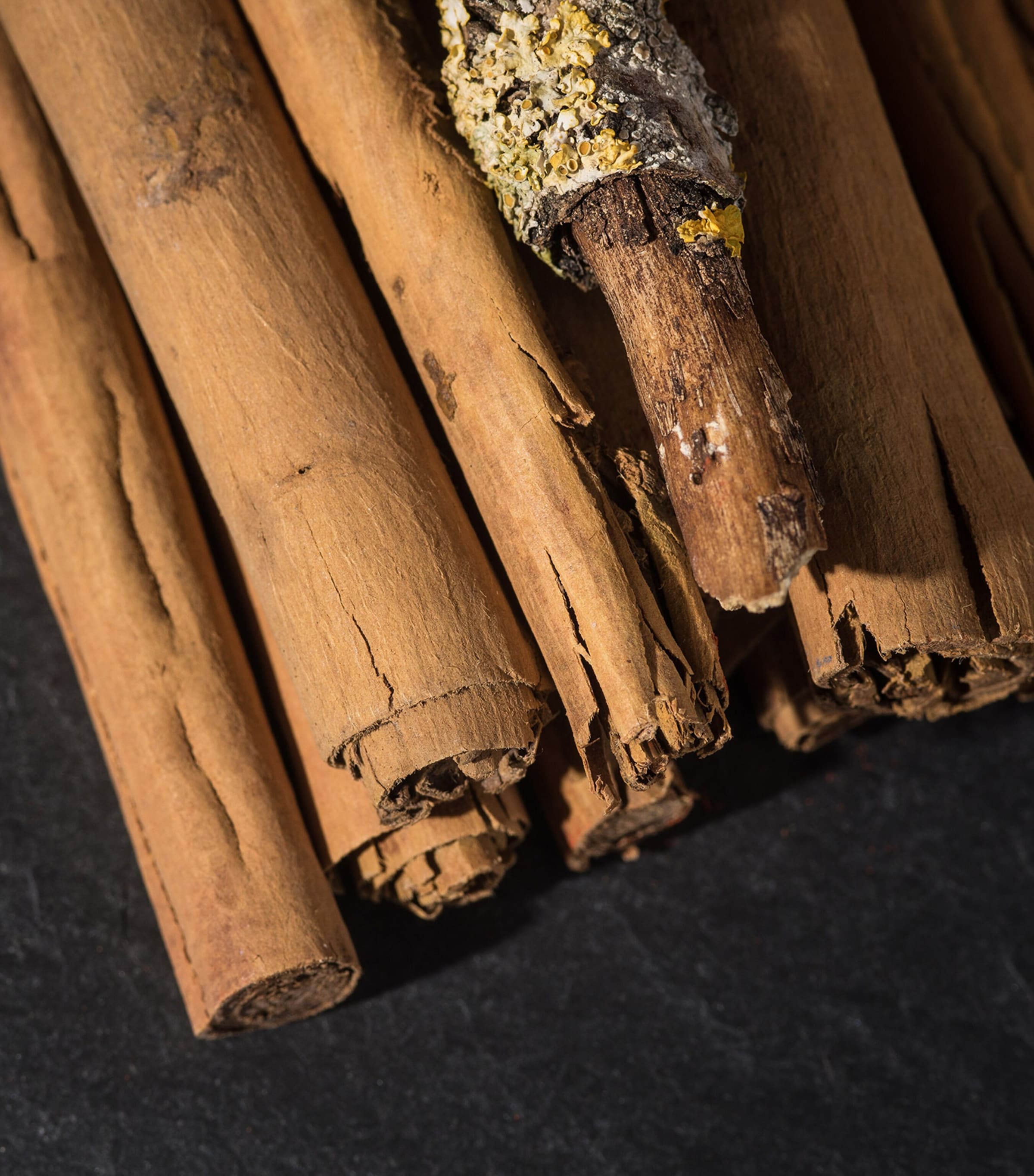 Bois Datchaï Eau de Parfum (100ml) NO COLOUR Image 5