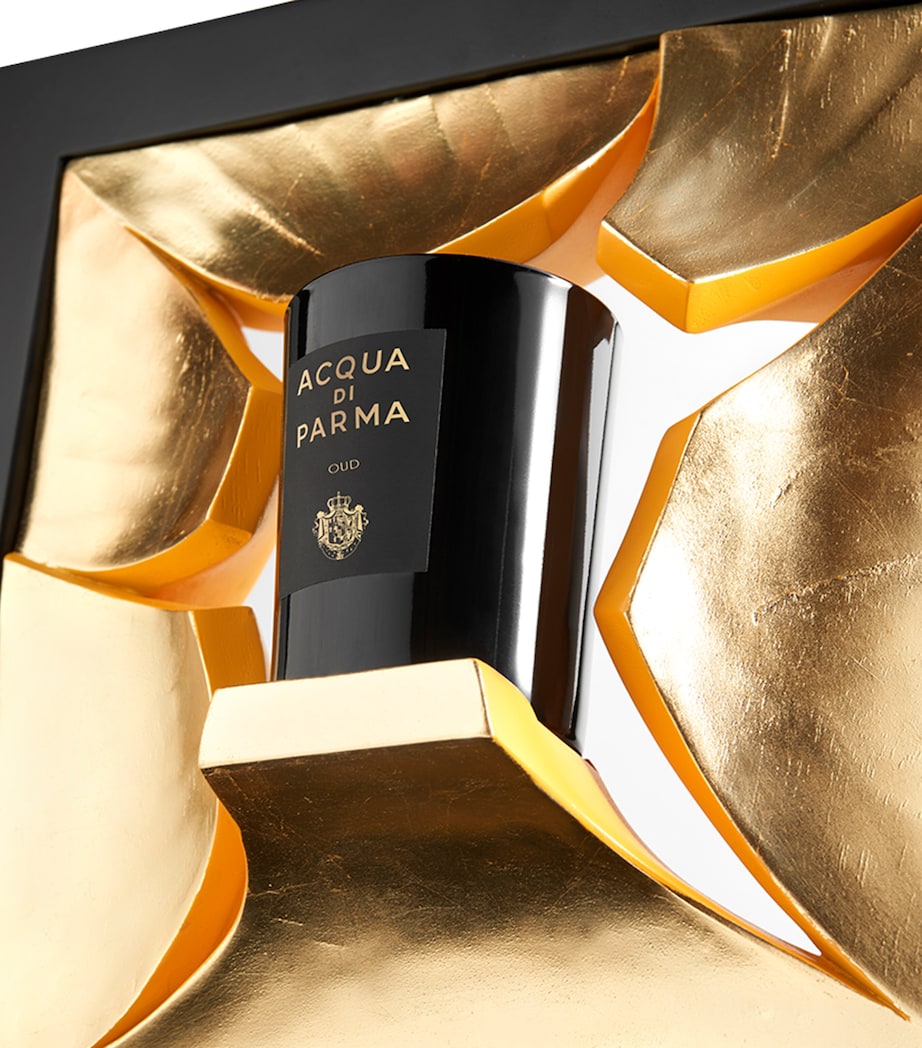 Signatures of the Sun Oud Candle (200g) NO COLOUR Image 6