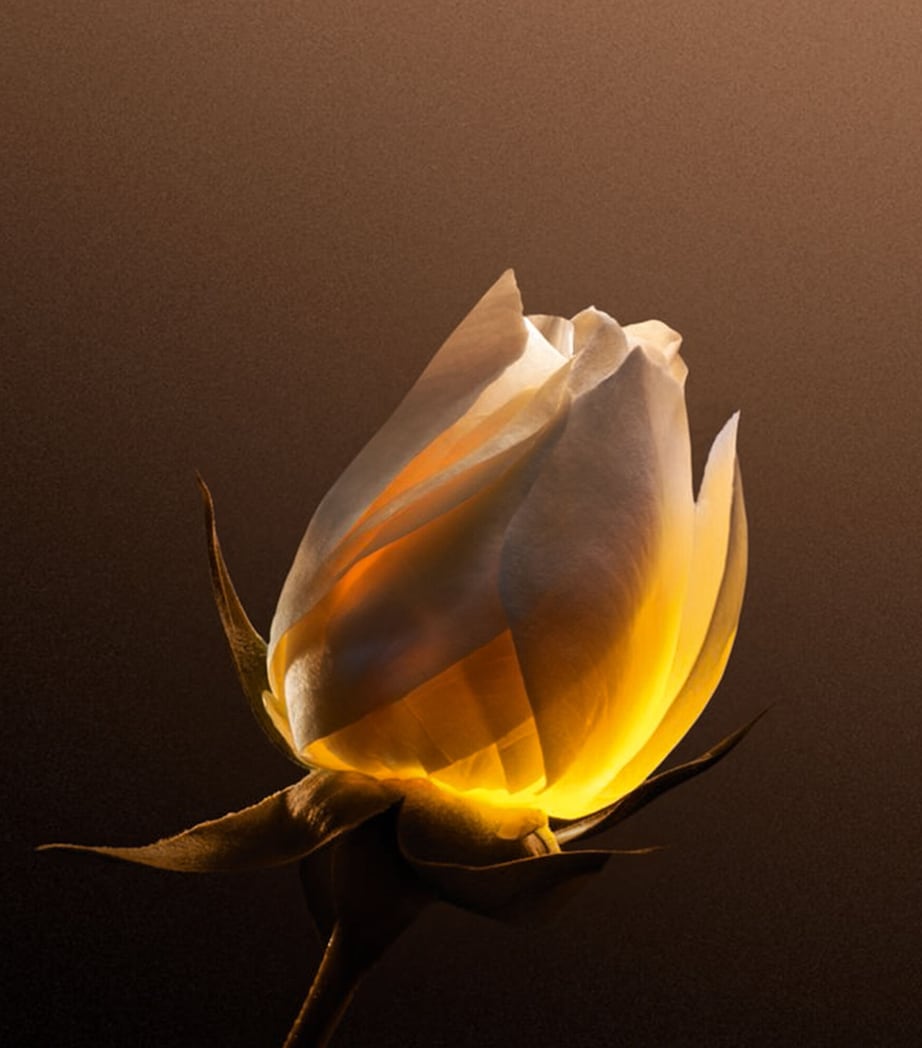 Dior Prestige Le Nectar Premier (30ml) GOLD Image 2