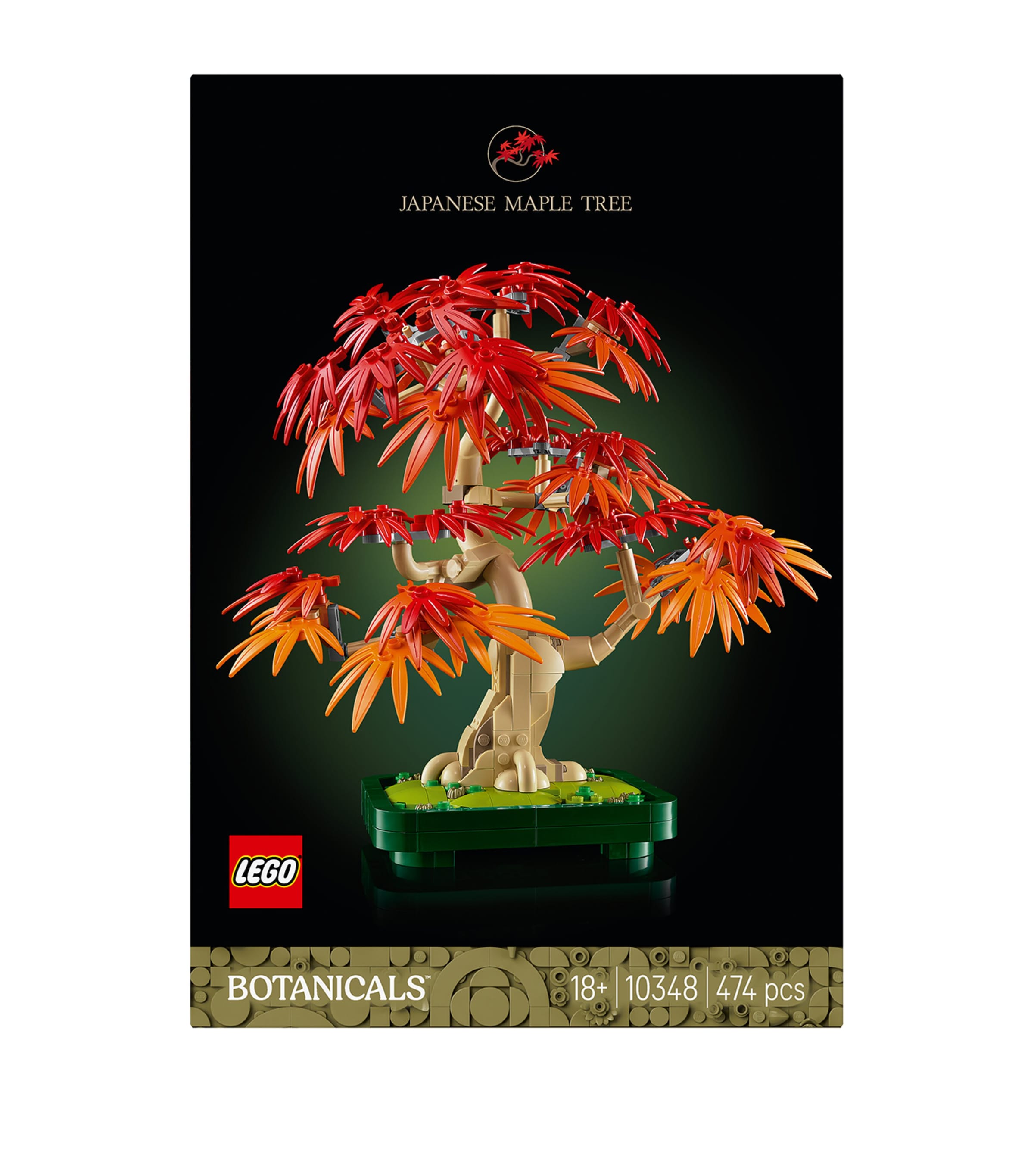 Botanicals Japanese Red Maple Bonsai Tree 10348 MULTI Image 4