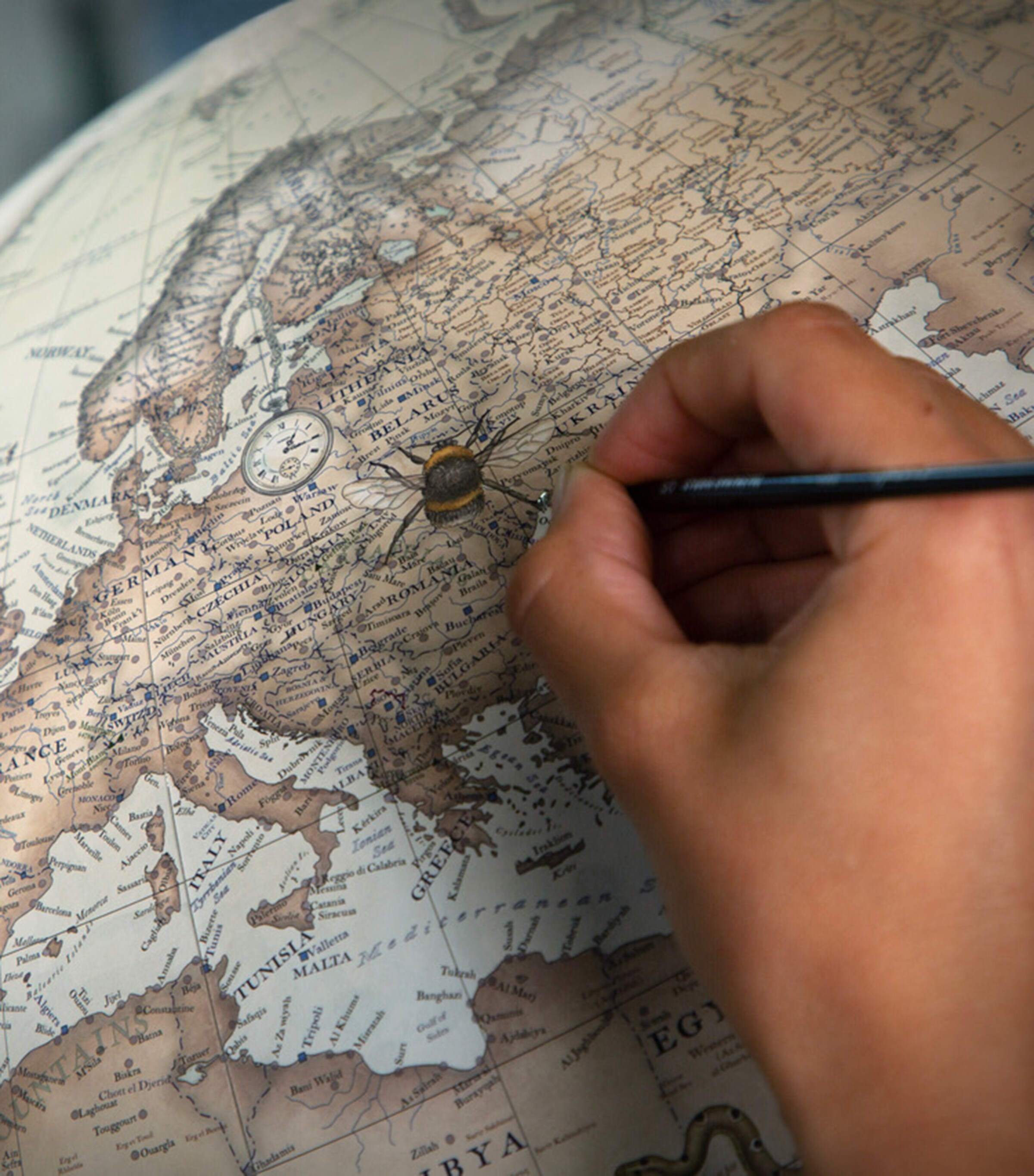 Terrestrial Floor-Standing Globe (50cm) REGENCY BLUE Image 6