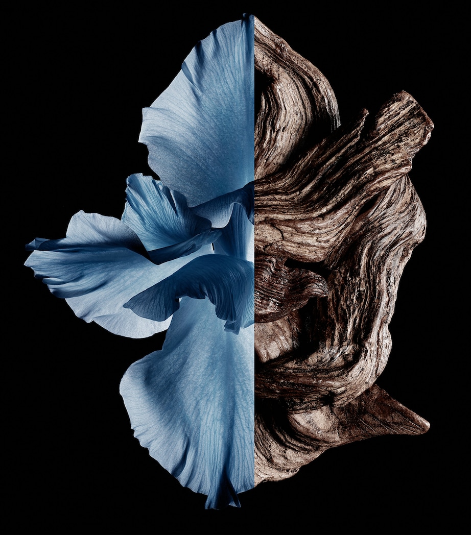 Gentlemen Eau de Toilette (60ml) NO COLOUR Image 2