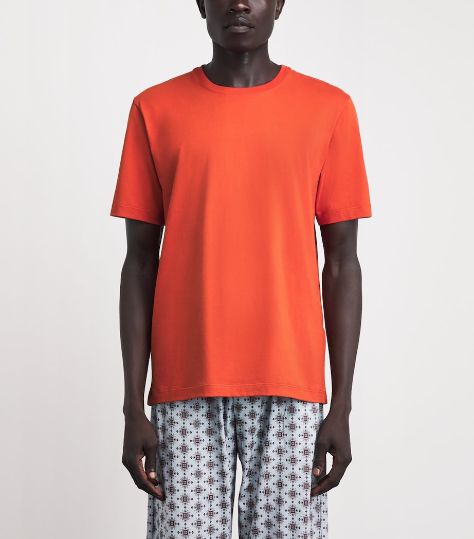 Hanro Mens Cotton Night & Day T-Shirt Rooibios T Image 4