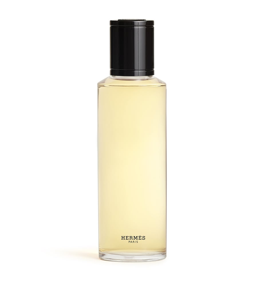 HERMÈS Terre d'Hermès Parfum (125ml) - Refill Image 1
