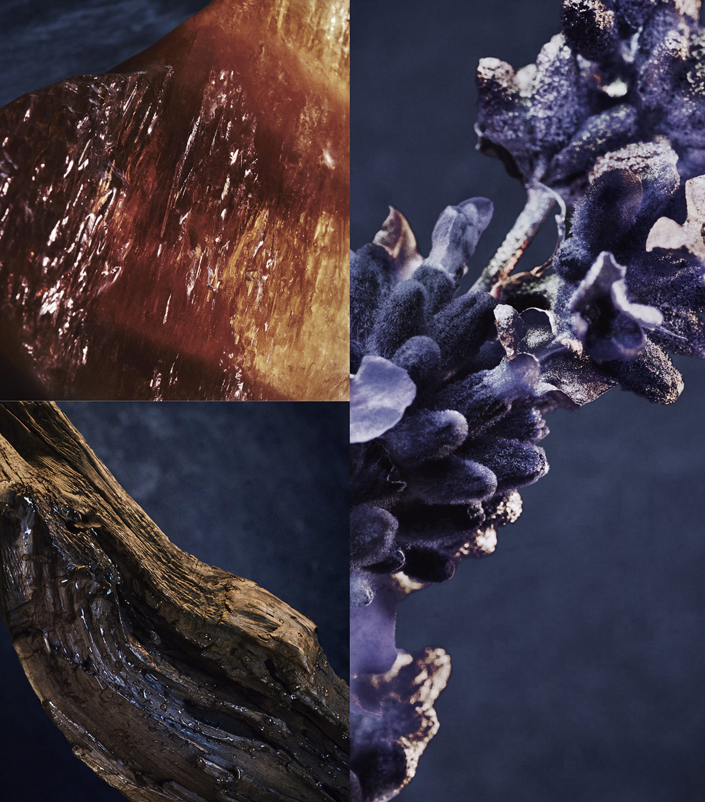 Invictus Parfum (200ml) NO COLOUR Image 3