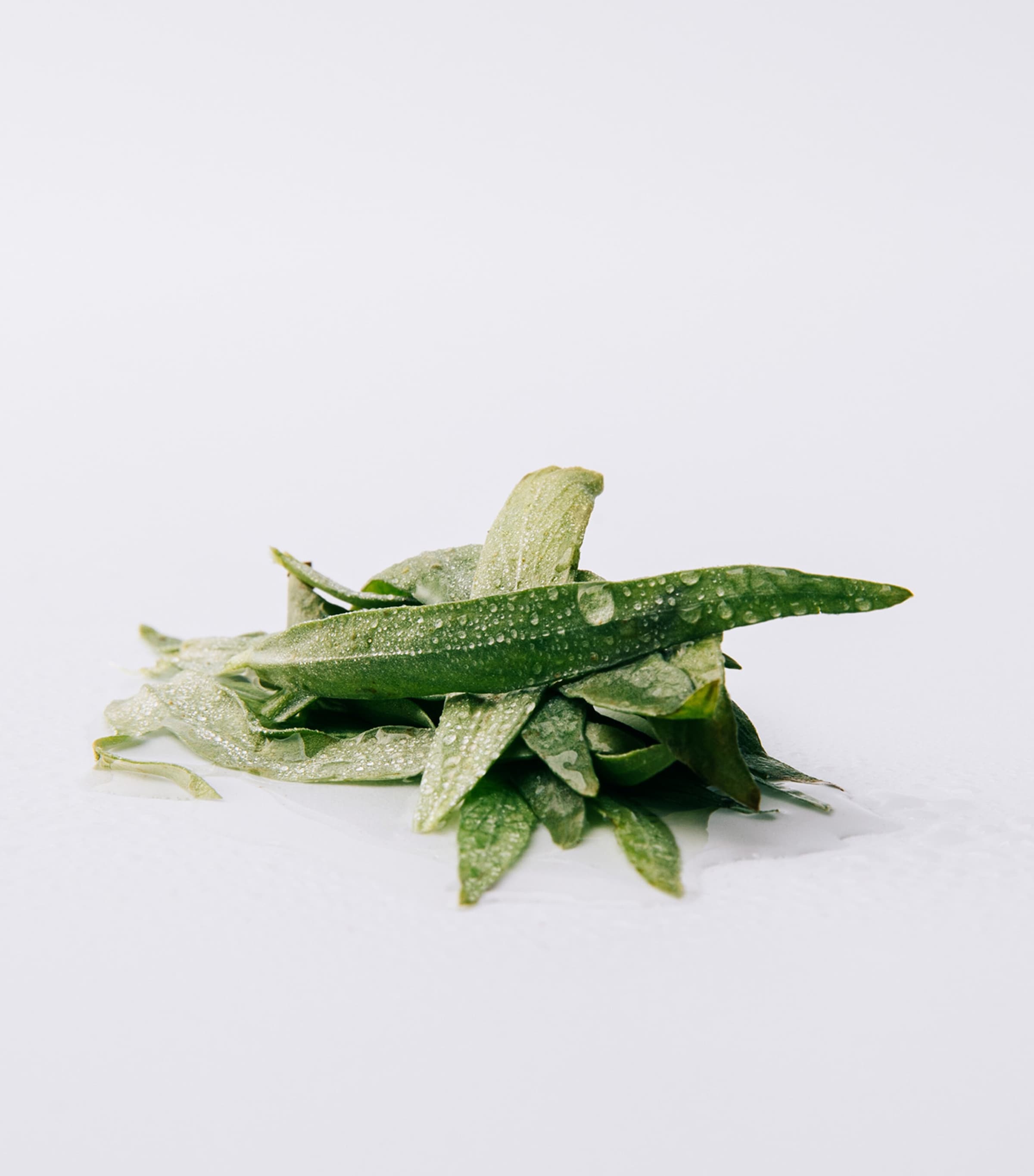 Esencia Eau de Parfum (50ml) NO COLOUR Image 3