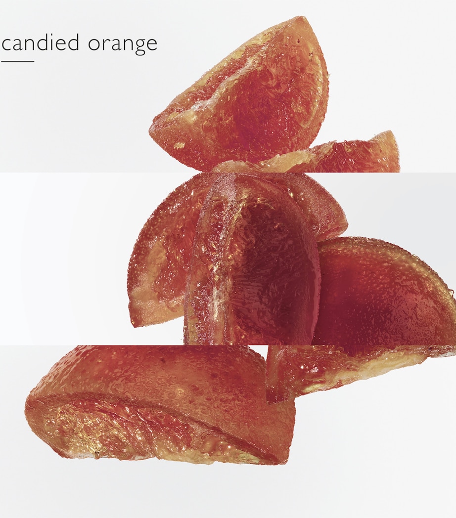 Elixir des Merveilles Eau de Parfum (100 ml) NO COLOUR Image 3