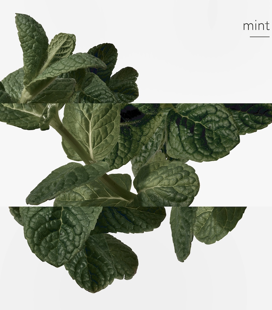 Eau D'orange Verte Eau de Cologne (100ml) NO COLOUR Image 5