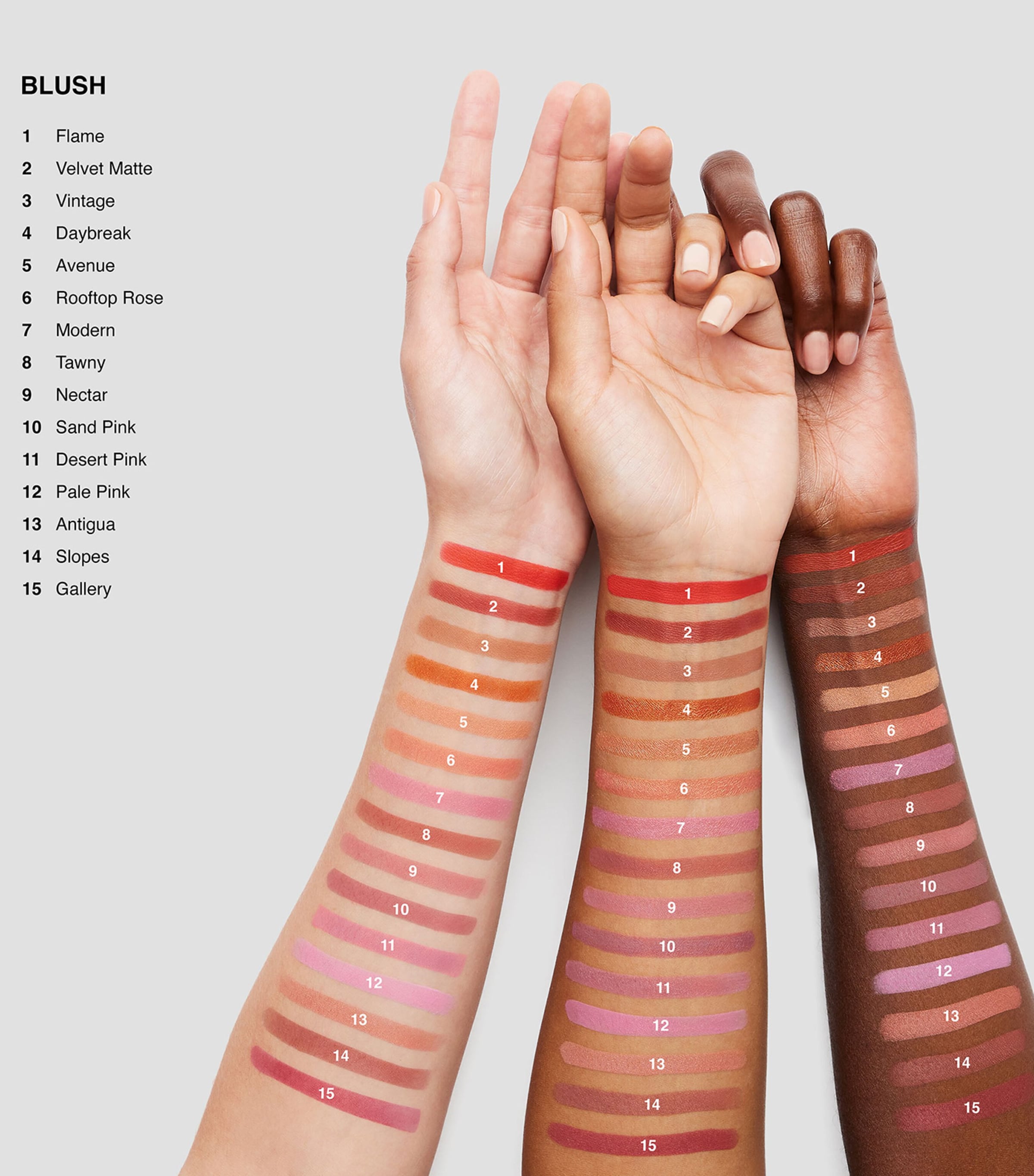 Blush ROOFTOP ROSE Image 4