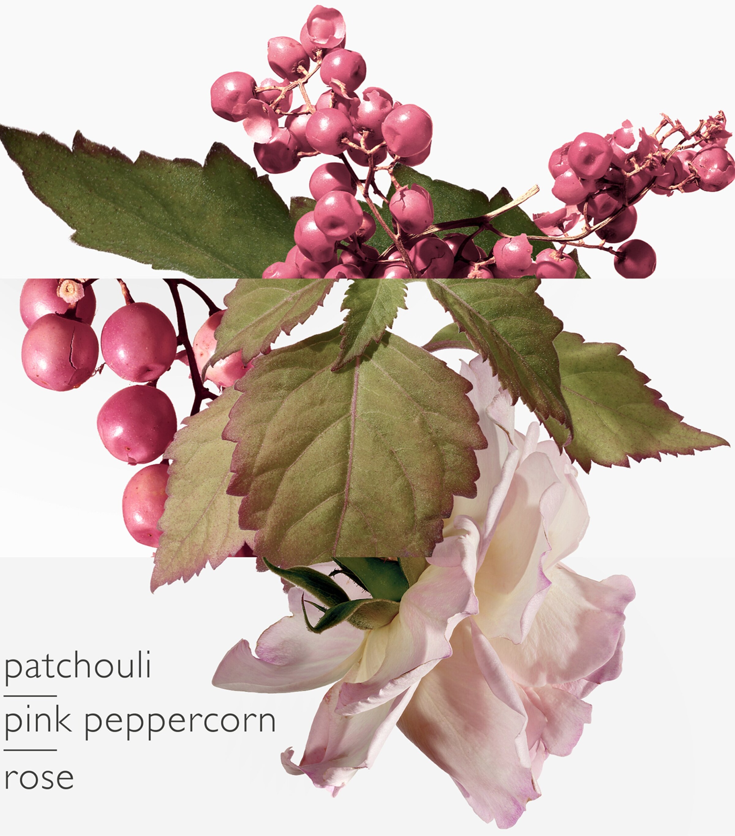 Twilly d'Hermès Eau Poivrée Eau de Parfum (50ml) NO COLOUR Image 2