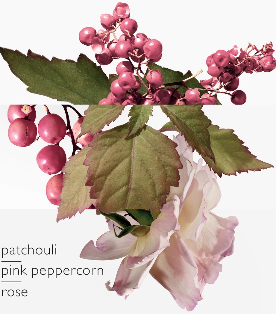 Twilly d'Hermès Eau Poivrée Eau de Parfum (50ml) NO COLOUR Image 2