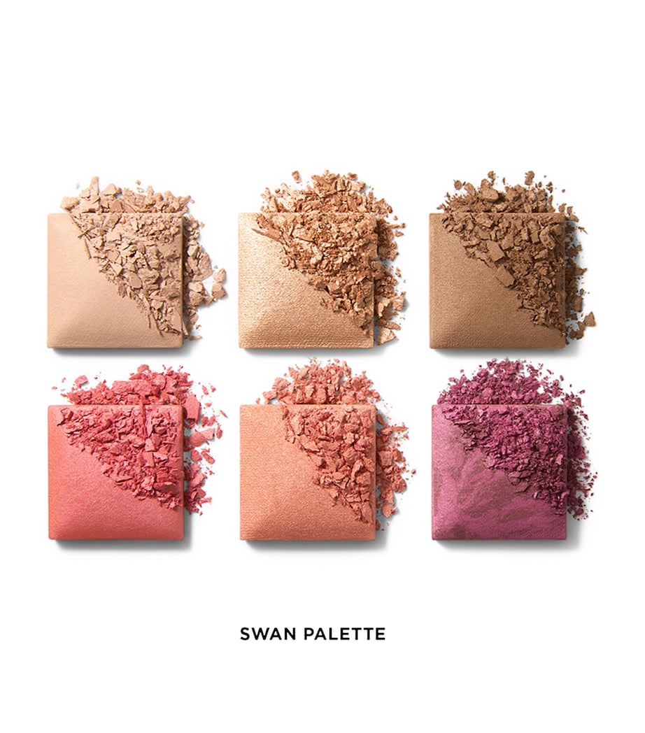 Ambient Lighting Edit Unlocked Palette SWAN Image 2