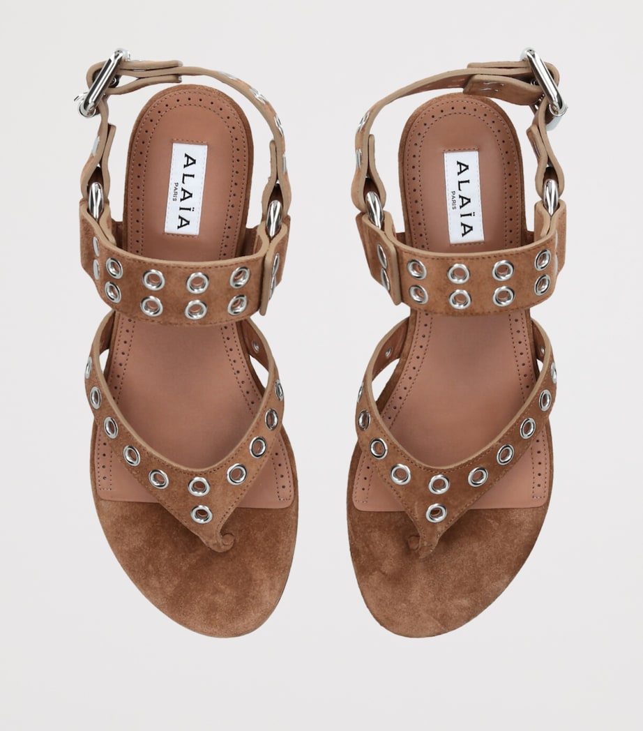 Suede Eyelet Thong Sandals MID BROWN Image 3