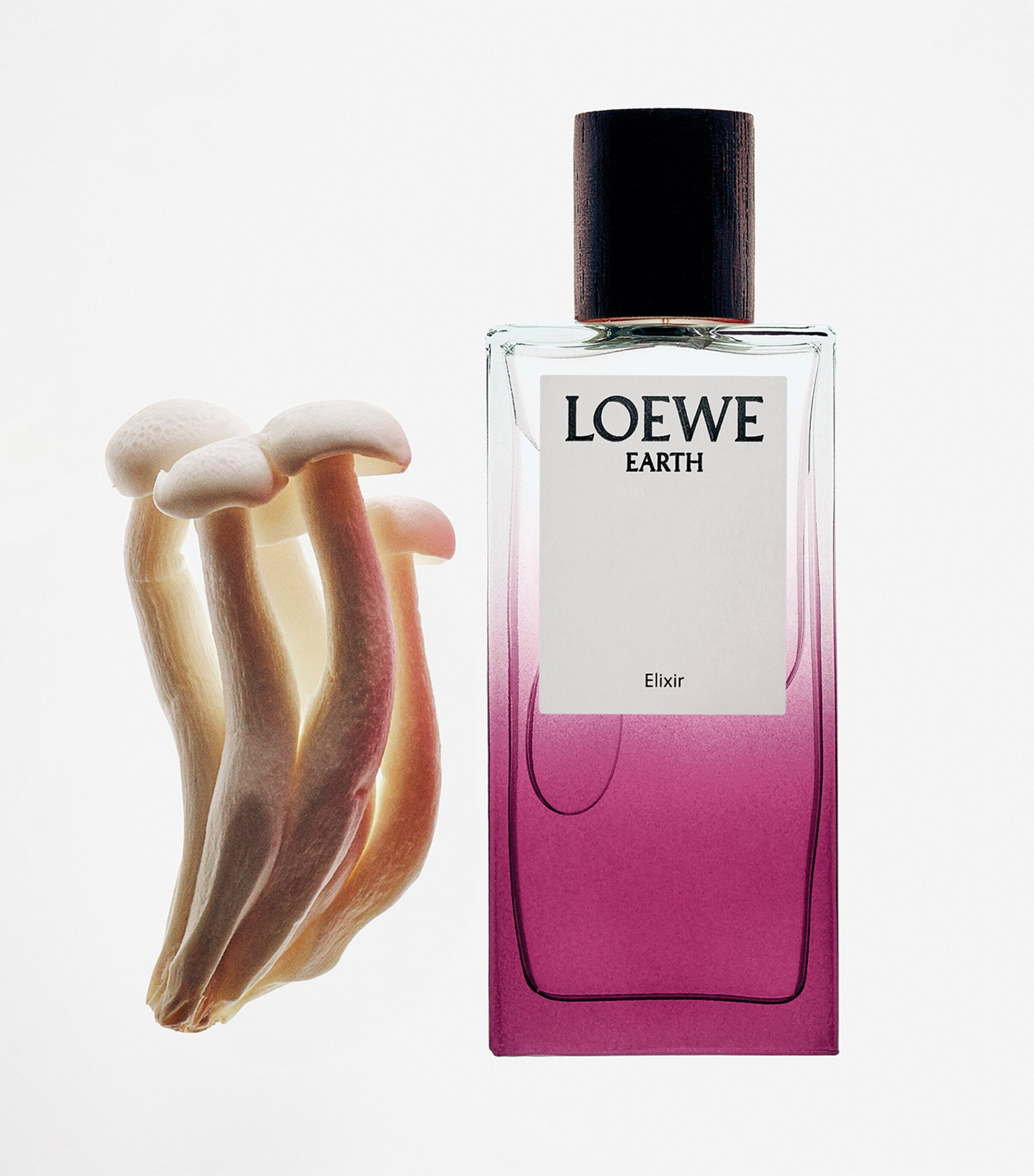 LOEWE Perfumes Earth Elixir Eau de Parfum (50ml) Image 4