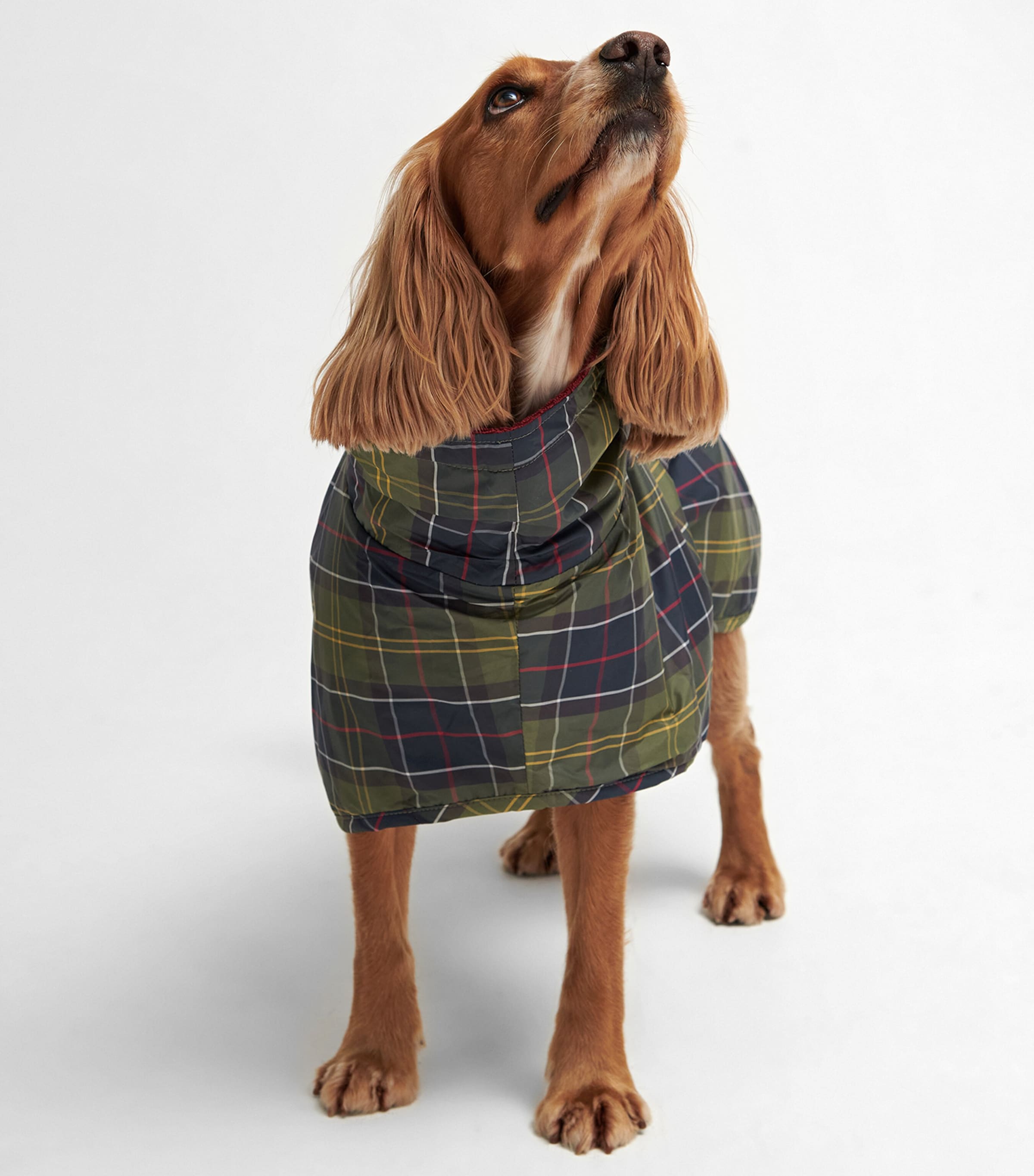 Tartan Terry Drying Robe CLASSIC TARTAN Image 4